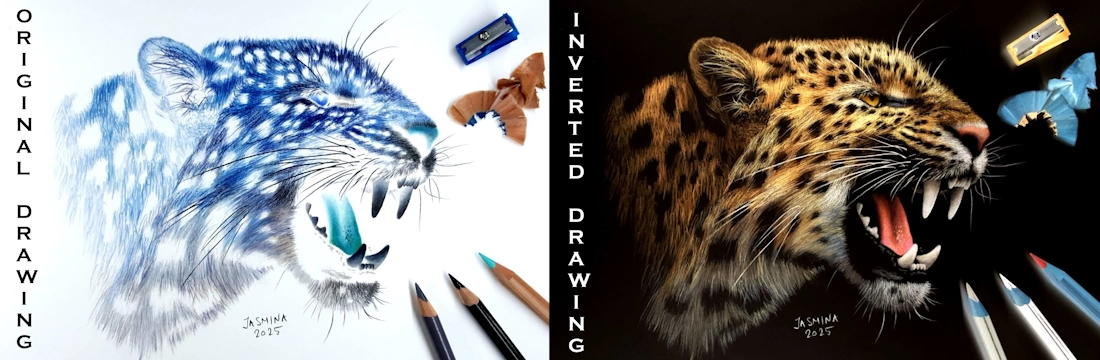 Sketcher App banner showing photorealistic strawberry reference converted into white, gray, and black paper line art modes with traditional art tools.